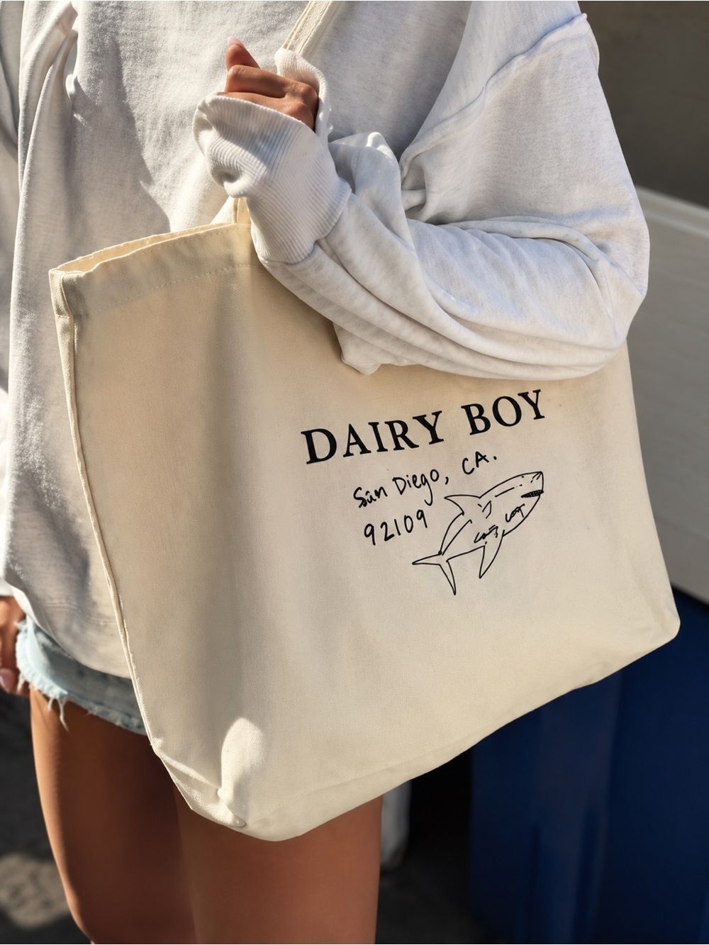 Limited Ed DAIRY BOY San Diego Canvas Tote - Picture 1 of 5